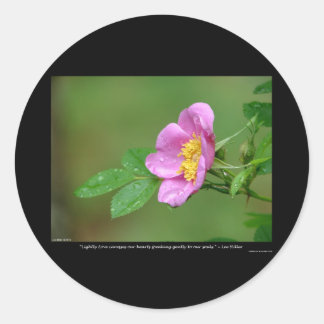 Art der Liebe Wilde Rose Frühlingssturm Schönheit Runder Aufkleber