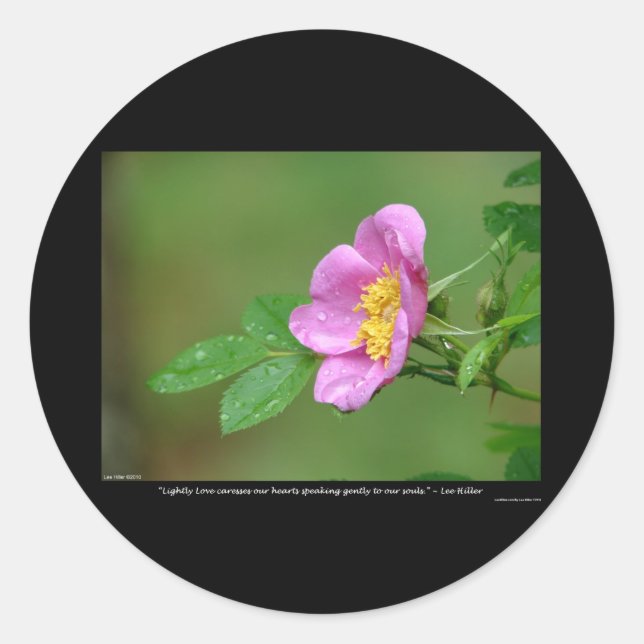 Art der Liebe Wilde Rose Frühlingssturm Schönheit Runder Aufkleber (Vorderseite)