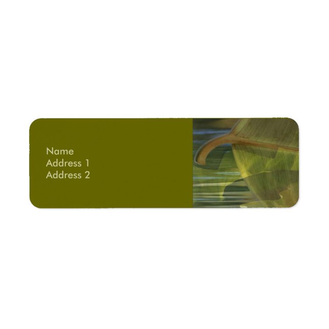 Art der Waage (Vorne)