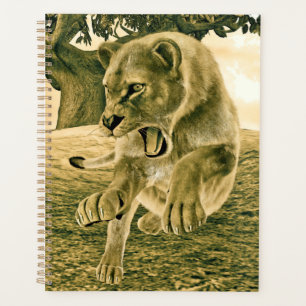 Art dramatique de la lionne de safari faunique