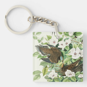 Art floral de la tourterelle triste d'Audubon vint