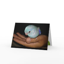 Art heureux de carte de voeux d'anniversaire