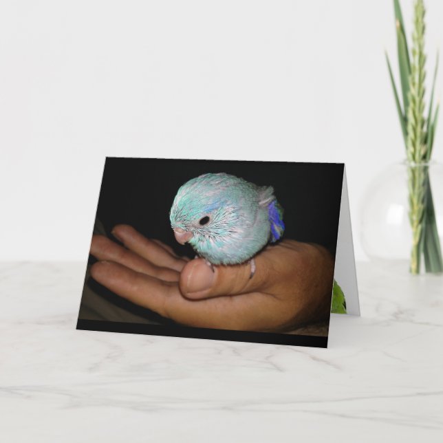 Art heureux de carte de voeux d'anniversaire (Devant)