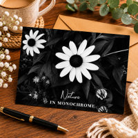 Art in Monochrom