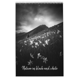 Art in schwarz-weiß v1 Foto Kalender
