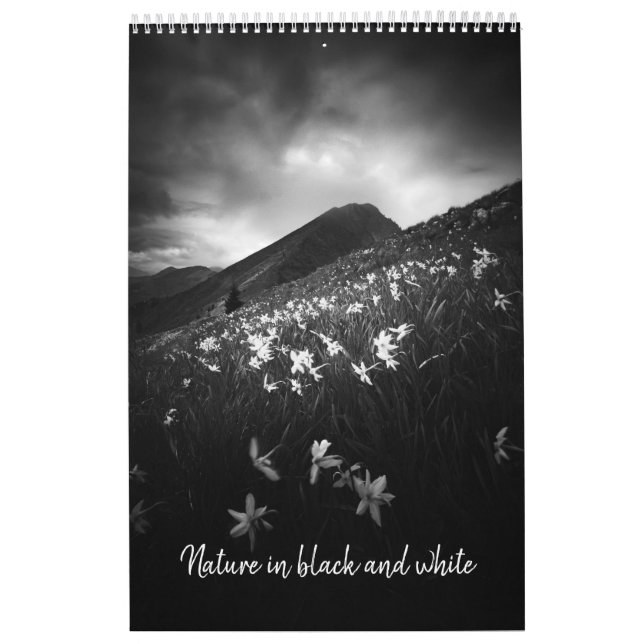Art in schwarz-weiß v1 Foto Kalender (Titelbild)