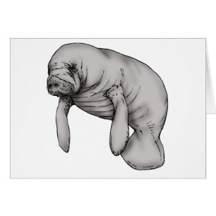 art manatee