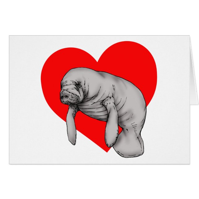 art manatee (Devant horizontal)