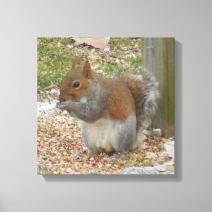 Art mignon de toile d'écureuil