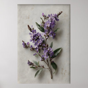 Art mural Dampiera imprimable, Fleur Antique Print
