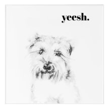 Tach le Chien
