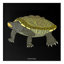 Tortue serpentine (noire) - Impression acrylique