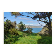 Voie côtière néo-zélandaise Auckland Omanawanui