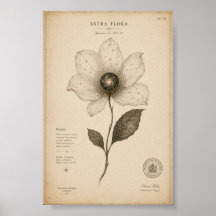 Art mural floral d'astronomie antique
