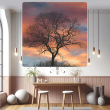 Art Nature Landschaft Tree Silhouette Piazza della