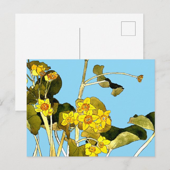 Art Nouveau Buttercups Postkarte (Vorne/Hinten)