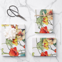 Art Nouveau Garden Nasturtium Blume