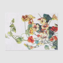 Art Nouveau Garden Nasturtium Blume