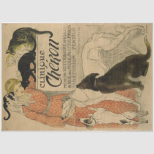 Art Nouveau Poster 21 Haustiere Lady Decoupage Seidenpapier
