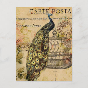 art nouveau Vintage Pfauenfritz Postkarte