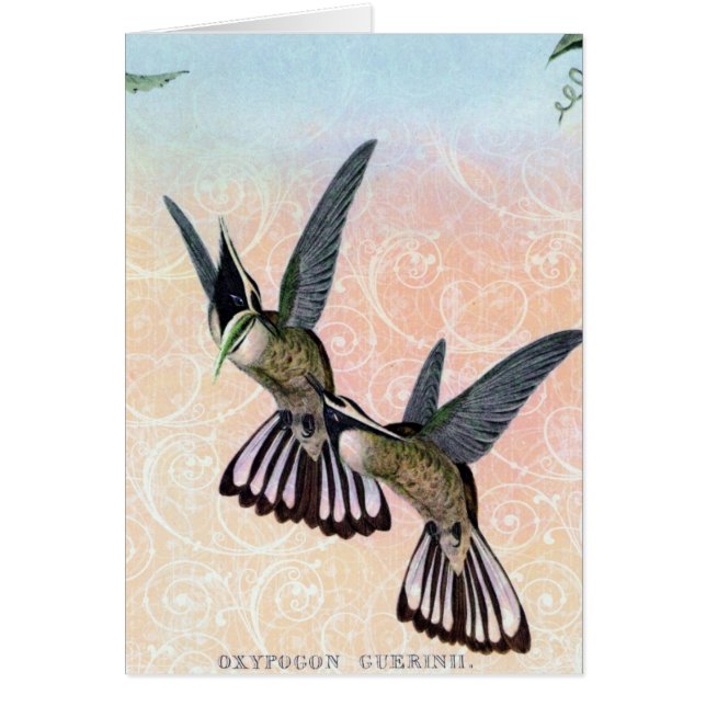 Art numérique vintage d'oiseaux (Devant)