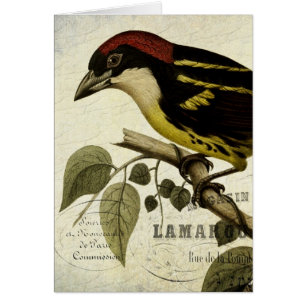 Art numérique vintage d'oiseaux français