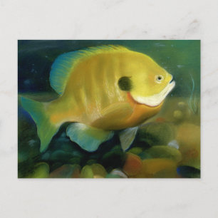 Art of Conservation Briefmarke - 2011 Postkarte