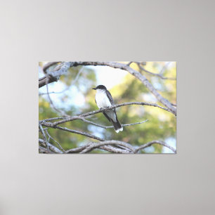Art Oiseau en toile Imprimer