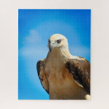 Art photographique - Puzzle d'oiseaux