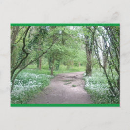 Art Postcard Waldweg 1 Postkarte