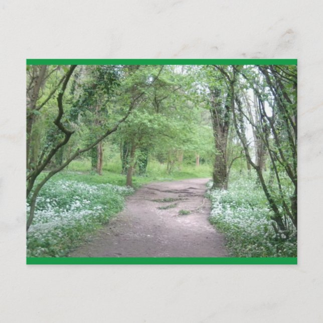 Art Postcard Waldweg 1 Postkarte (Vorderseite)