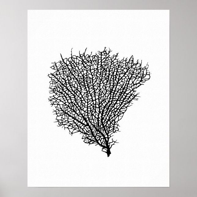 Art print, black coral fan on white poster (Vorne)