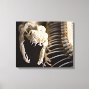 Art squelettique de serpent - toile