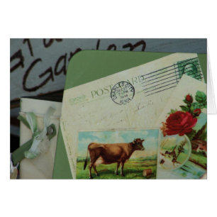 Art Still Life au marché des fermiers