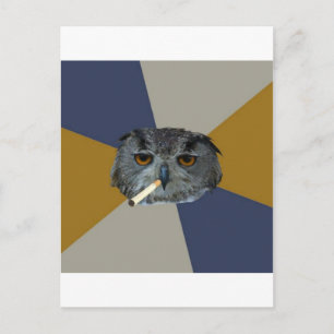 Art Student Owl Advisor Animal Meme Postkarte