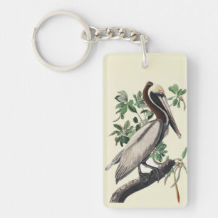 Art Vintage Audubon Pélican Brun Oiseau de la Côte