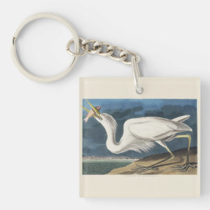 Art Vintage d'Oiseau Grand Héron Blanc d'Audubon