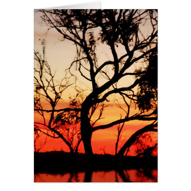 Art Vivant : Carte Silhouette Sunset Nature (Devant)