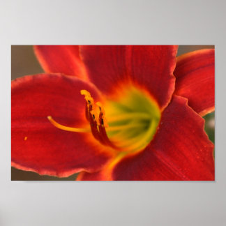 Art von Augle Poster