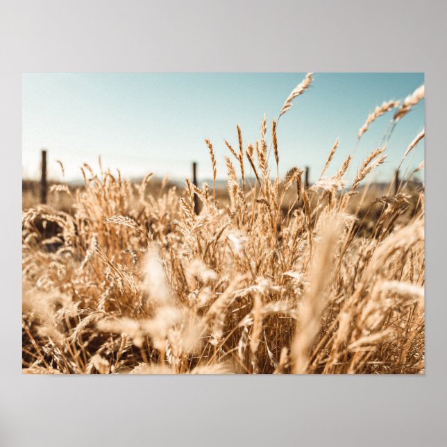 Art & Wall Décor > Plakate & Prints (Vorne)