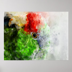 Art Watercolor Parrot Grüner Parkettboden Geschenk Poster