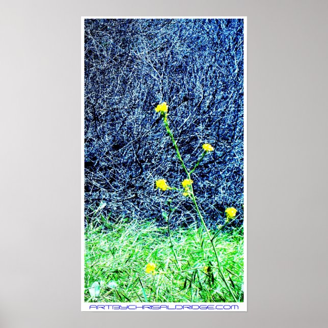 ARTBYCHRISALDRIDGE.COM Poster Nr. 2 (Vorne)