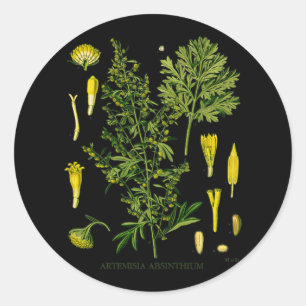 Artemesia Absinthium Runder Aufkleber