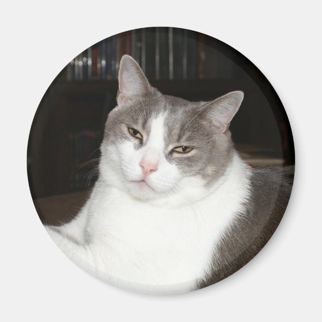 Artemis Magnet (Vorne)