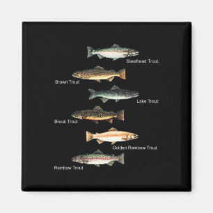 Arten der Aufbringung von Forellen Fisch Art Fisch Magnet