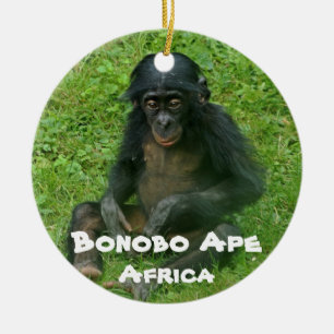 Arten der gefährdeten Art, Bonobo Ape Keramik Ornament