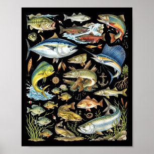 Arten Süßwasser Salzwasser Fischarten Angeln Poster