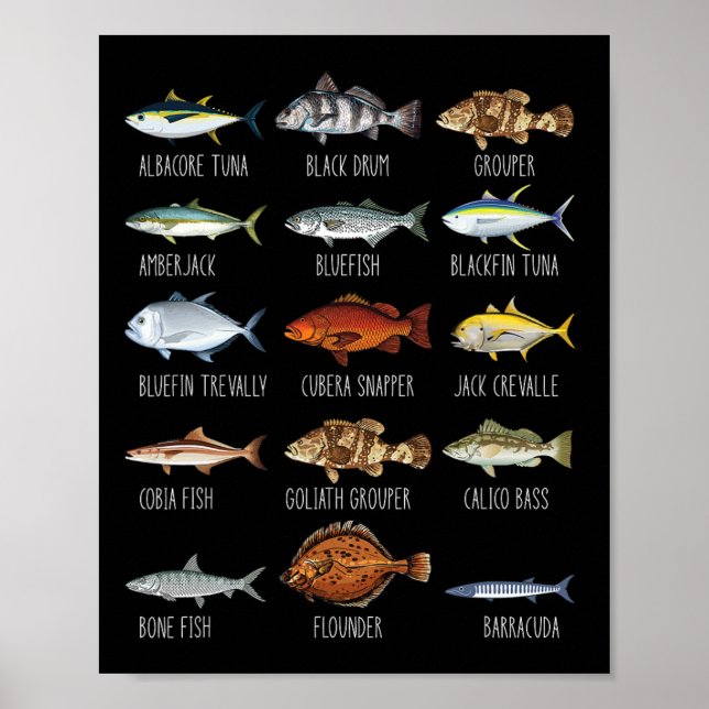 Arten von Salzwasserfischen Art Biologie Fischerei Poster (Vorne)