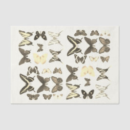 Arten von Schmetterlingen Sammlung Sepia Beige Seidenpapier