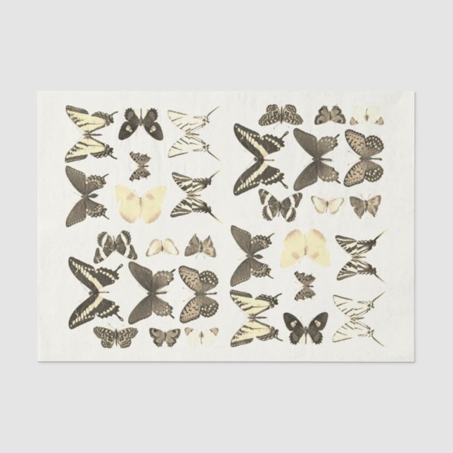 Arten von Schmetterlingen Sammlung Sepia Beige Seidenpapier (Vorderseite)